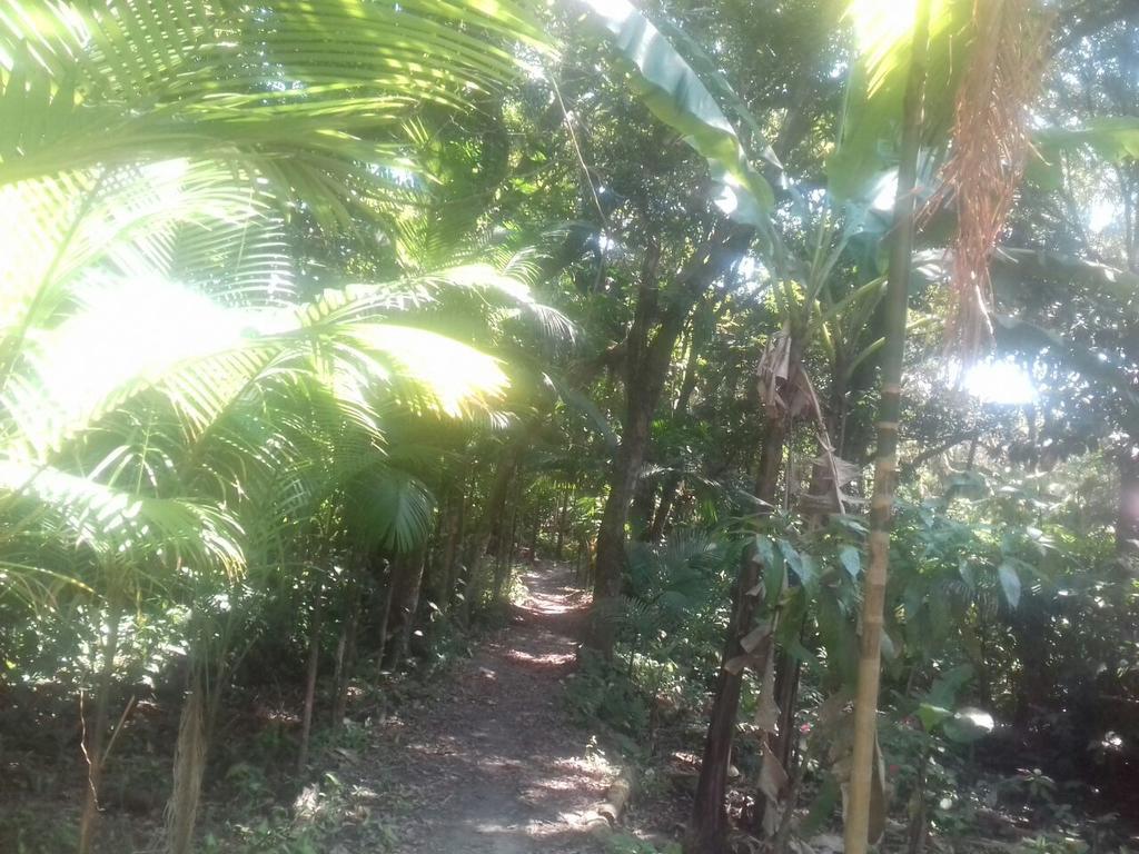 Recanto da Kaká Ilha do Mel Bagian luar foto