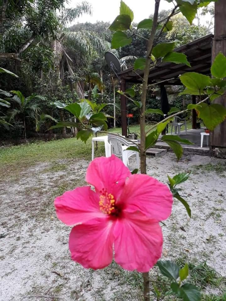 Recanto da Kaká Hotel Ilha do Mel Bagian luar foto